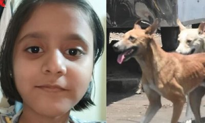 ಭಯದಿಂದ ಇಂಜೆಕ್ಷನ್ ಹಾಕಿಕೊಳ್ಳದ 9 ವರ್ಷದ ಬಾಲಕಿ ರೇಬಿಸ್‌ಗೆ ಬಲಿ