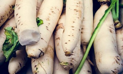 ಆರೋಗ್ಯದ ಗಣಿ ಮೂಲಂಗಿ