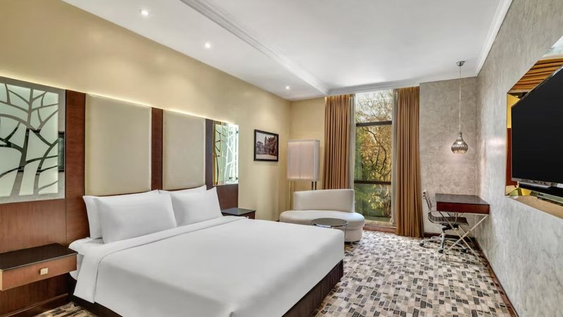 Radisson Blue Room