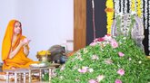 ಮಿತಿಮೀರಿದ ಸೊಪ್ಪು, ತರಕಾರಿಗಳಿಂದ ದೇಹಕ್ಕೆ ಹಾನಿ: ರಾಮಚಂದ್ರಾಪುರ ಶ್ರೀ