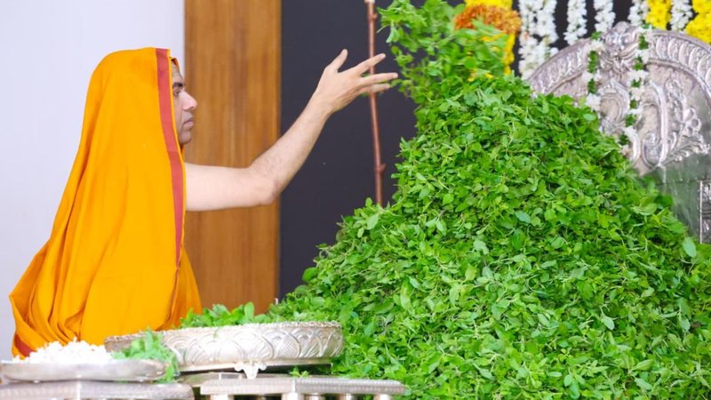 Raghaveshwara Bharati swamiji (2)