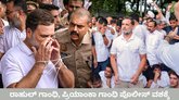 ರಾಹುಲ್‌ ಗಾಂಧಿ, ಪ್ರಿಯಾಂಕಾ ಗಾಂಧಿ ಪೊಲೀಸ್‌ ವಶಕ್ಕೆ