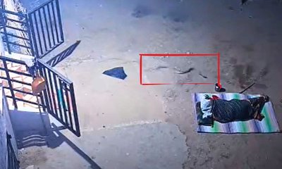 ಮನೆ ಮುಂದೆ ಮಲಗಿದ್ದ ವೃದ್ಧೆಗೆ ಕಚ್ಚಿದ ಹಾವು!; ವಿಡಿಯೊ ಇಲ್ಲಿದೆ