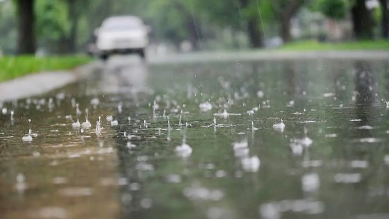 Karnataka Weather: ಇಂದಿನ ಹವಾಮಾನ; ಮೈಸೂರು ಸೇರಿ ಈ ಜಿಲ್ಲೆಗಳಿಗೆ ಮಳೆ ಮುನ್ಸೂಚನೆ