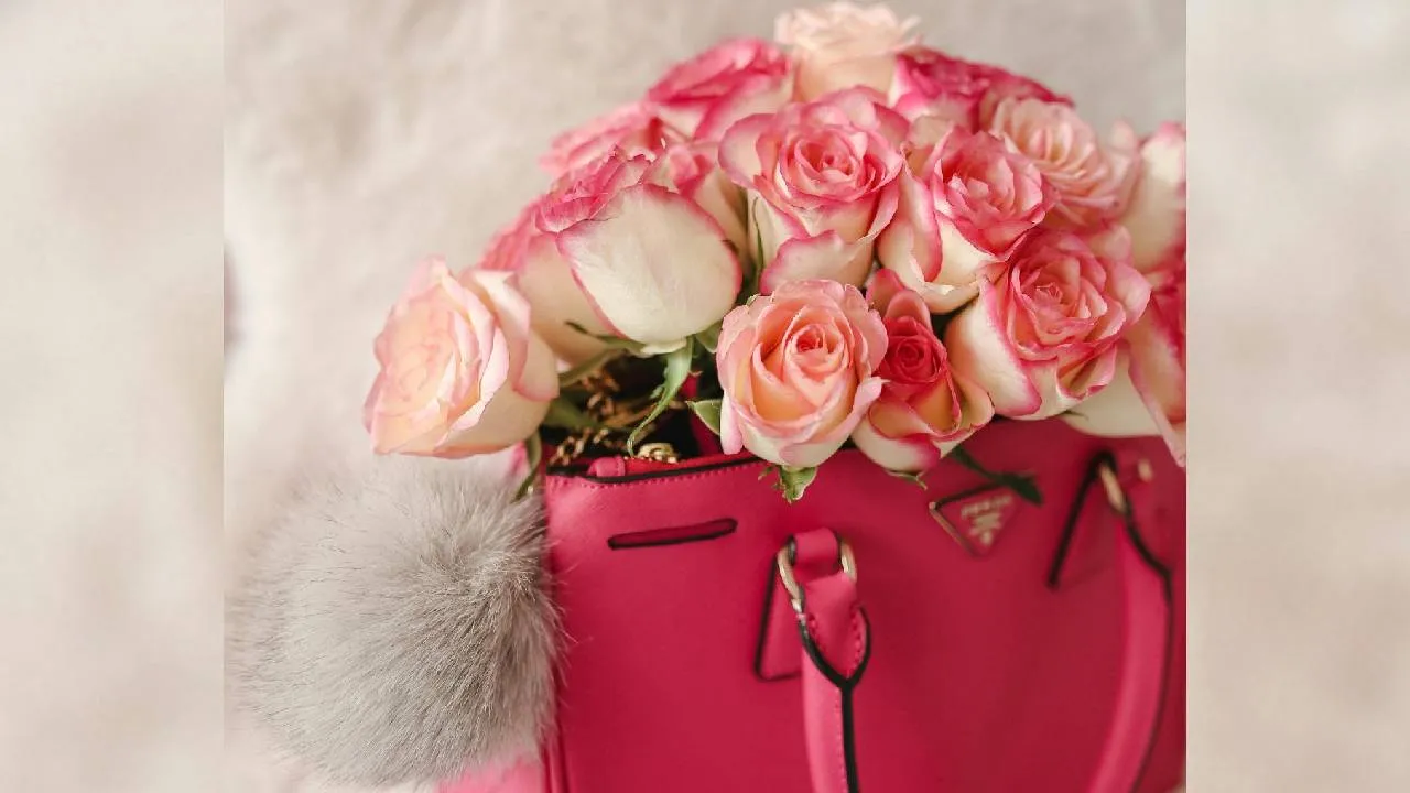 Valentines Week 2026: ರೋಸ್‌ ಡೇ ಕೊಡುಗೆಗೆ ಇಲ್ಲಿದೆ 5 ಸೂಪರ್‌ ಐಡಿಯಾ - Image 4