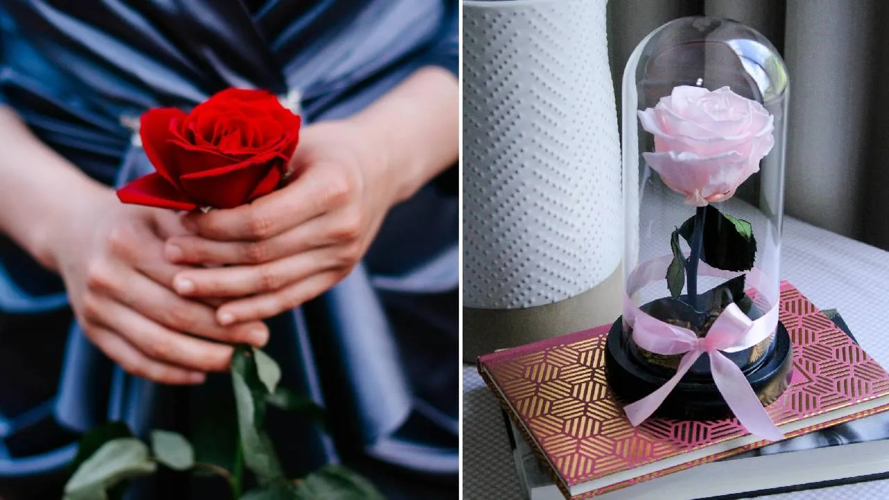 Valentines Week 2026: ರೋಸ್‌ ಡೇ ಕೊಡುಗೆಗೆ ಇಲ್ಲಿದೆ 5 ಸೂಪರ್‌ ಐಡಿಯಾ - Image 1