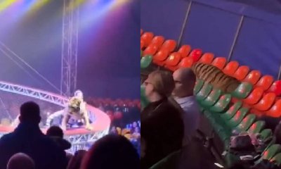 ಸರ್ಕಸ್‌ ಪ್ರದರ್ಶನದ ವೇಳೆ ಪ್ರೇಕ್ಷಕರತ್ತ ಜಿಗಿದ ಹುಲಿ: ವಿಡಿಯೊ ವೈರಲ್‌