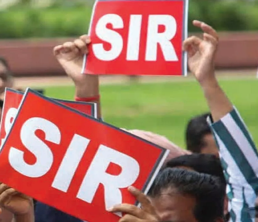 SIR 13