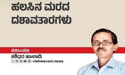 Shashidhara Halady Column: ಹಲಸಿನ ಮರದ ದಶಾವತಾರಗಳು