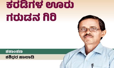 ಕರಡಿಗಳ ಊರು ಗರುಡನಗಿರಿಗೆ ʼಸೋಲೋ ಟ್ರಿಪ್‌ʼ !