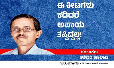 Shashidhara Halady Column: ಈ ಕೀಟಗಳು ಕಡಿದರೆ ಅಪಾಯ ತಪ್ಪಿದ್ದಲ್ಲ!