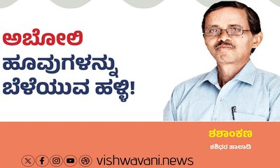 Shashidhara Halady Column: ಅಬೋಲಿ ಹೂವುಗಳನ್ನು ಬೆಳೆಯುವ ಹಳ್ಳಿ !