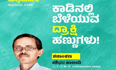 ಕಾಡಿನಲ್ಲಿ ಬೆಳೆಯುವ ದ್ರಾಕ್ಷಿ ಹಣ್ಣುಗಳು !