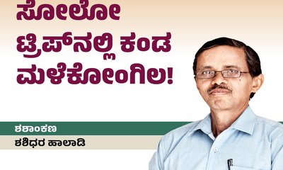 ಸೋಲೋ ಟ್ರಿಪ್‌ʼನಲ್ಲಿ ಕಂಡ ಮಳೆಕೋಂಗಿಲ !