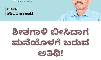 Shashidhara Halady Column: ಶೀತಗಾಳಿ ಬೀಸಿದಾಗ ಬರುವ ಅತಿಥಿ !