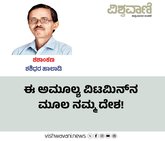 ಈ ಅಮೂಲ್ಯ ವಿಟಮಿನ್‌ನ ಮೂಲ ನಮ್ಮ ದೇಶ!