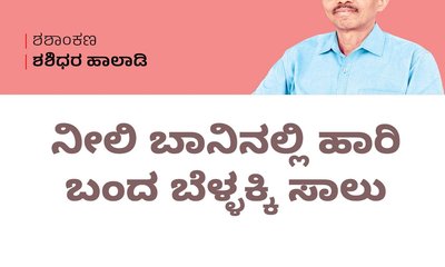 ನೀಲಿ ಬಾನಿನಲ್ಲಿ ಹಾರಿ ಬಂದ ಬೆಳ್ಳಕ್ಕಿ ಸಾಲು