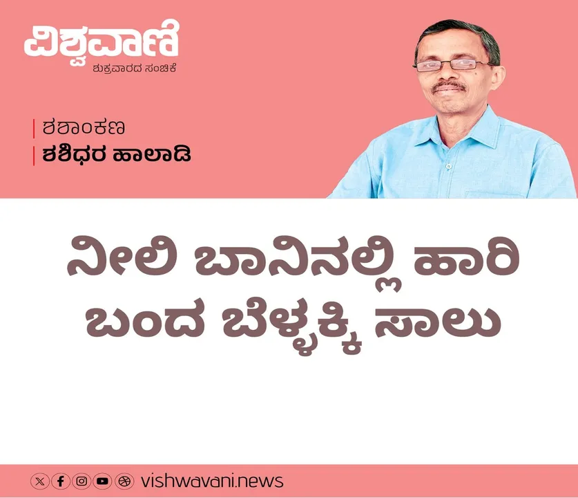 Shashidhara Halady Column: ನೀಲಿ ಬಾನಿನಲ್ಲಿ ಹಾರಿ ಬಂದ ಬೆಳ್ಳಕ್ಕಿ ಸಾಲು