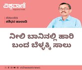 ನೀಲಿ ಬಾನಿನಲ್ಲಿ ಹಾರಿ ಬಂದ ಬೆಳ್ಳಕ್ಕಿ ಸಾಲು