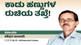 ಕಾಡು ಹಣ್ಣುಗಳ ಸವಿ ರುಚಿಯ ತಖ್ತೆ !