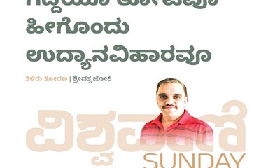 ಗದ್ದೆಯ ತೋಟವೂ ಹೀಗೊಂದು ಉದ್ಯಾನವಿಹಾರವೂ
