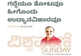 ಗದ್ದೆಯ ತೋಟವೂ ಹೀಗೊಂದು ಉದ್ಯಾನವಿಹಾರವೂ