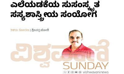 ಎಲೆಯಡಕೆಯ ಸುಸಂಸ್ಕೃತಿಯ ಸಸ್ಯಶಾಸ್ತ್ರೀಯ ಸಂಯೋಗ