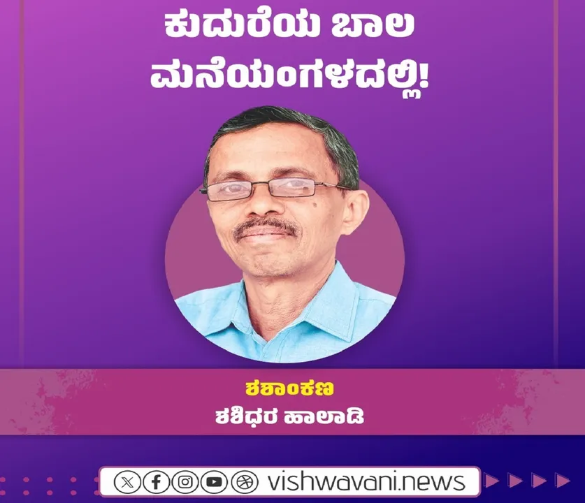 Shashidhara Halady Column: ಕುದುರೆಯ ಬಾಲ ಮನೆಯಂಗಳದಲ್ಲಿ !