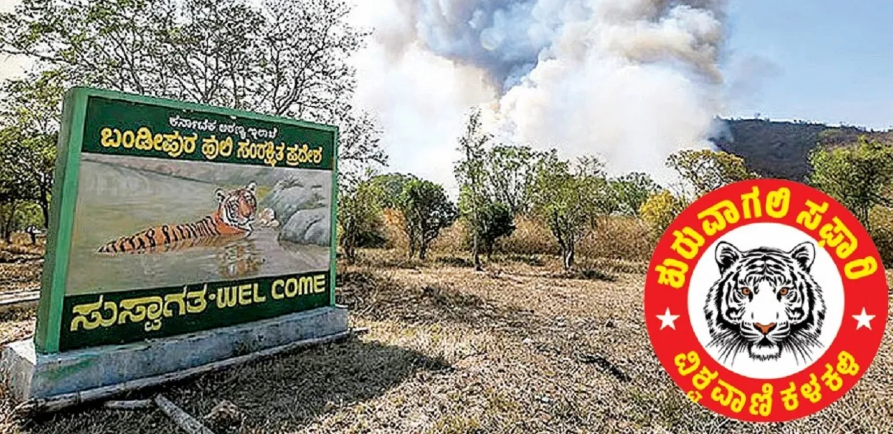 SAFARI: ಸಫಾರಿ ನಿಷೇಧಕ್ಕೆ ಮುನ್ನ ಅಕ್ರಮ ಪ್ರವೇಶ ನಿಯಂತ್ರಿಸಿ !