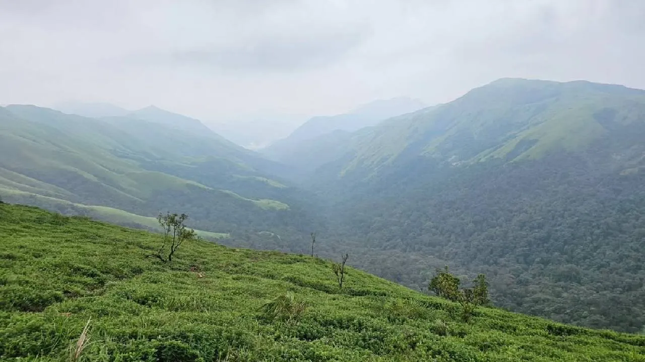 Kantara: Chapter 1: ಇದೇ ನೋಡಿ ʼಕಾಂತಾರ: ಚಾಪ್ಟರ್‌ 1' ಚಿತ್ರದ ಶೂಟಿಂಗ್‌ ನಡೆದ ಸ್ಥಳ - Image 4