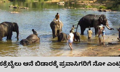 ಸಕ್ರೆಬೈಲು ಆನೆ ಬಿಡಾರಕ್ಕೆ ಪ್ರವಾಸಿಗರ ನಿಷೇಧ