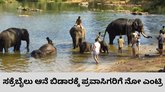 ಸಕ್ರೆಬೈಲು ಆನೆ ಬಿಡಾರಕ್ಕೆ ಪ್ರವಾಸಿಗರ ನಿಷೇಧ