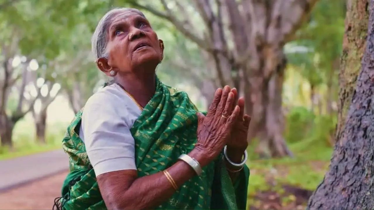 World Environment Day 2026 Special: ಪ್ರಕೃತಿಯೇ ಪರಿವಾರ, ಮರ-ಗಿಡಗಳೇ ಬಂಧು-ಬಳಗ; ಪರಿಸರ ಸೇನಾನಿಗಳಿವರು - Image 1