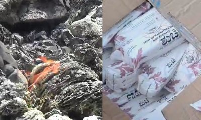ಆರೋಗ್ಯ ಇಲಾಖೆ ನಿರ್ಲಕ್ಷ್ಯ; ಶುಚಿ ಸ್ಯಾನಿಟರಿ ಪ್ಯಾಡ್‌ಗಳಿಗೆ ಬೆಂಕಿ!