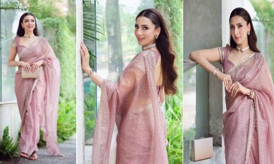 ಪಾರ್ಟಿವೇರ್‌ ಆರ್ಗನ್ಜಾ ಸೀರೆಯ ಆಯ್ಕೆಗೆ ಇಲ್ಲಿವೆ ಟಿಪ್ಸ್