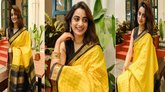 ವಿಂಟೇಜ್‌ ಲುಕ್‌ ನೀಡುವ ಚೆಕ್ಸ್ ಸಿಲ್ಕ್‌ ಸೀರೆಗಳು