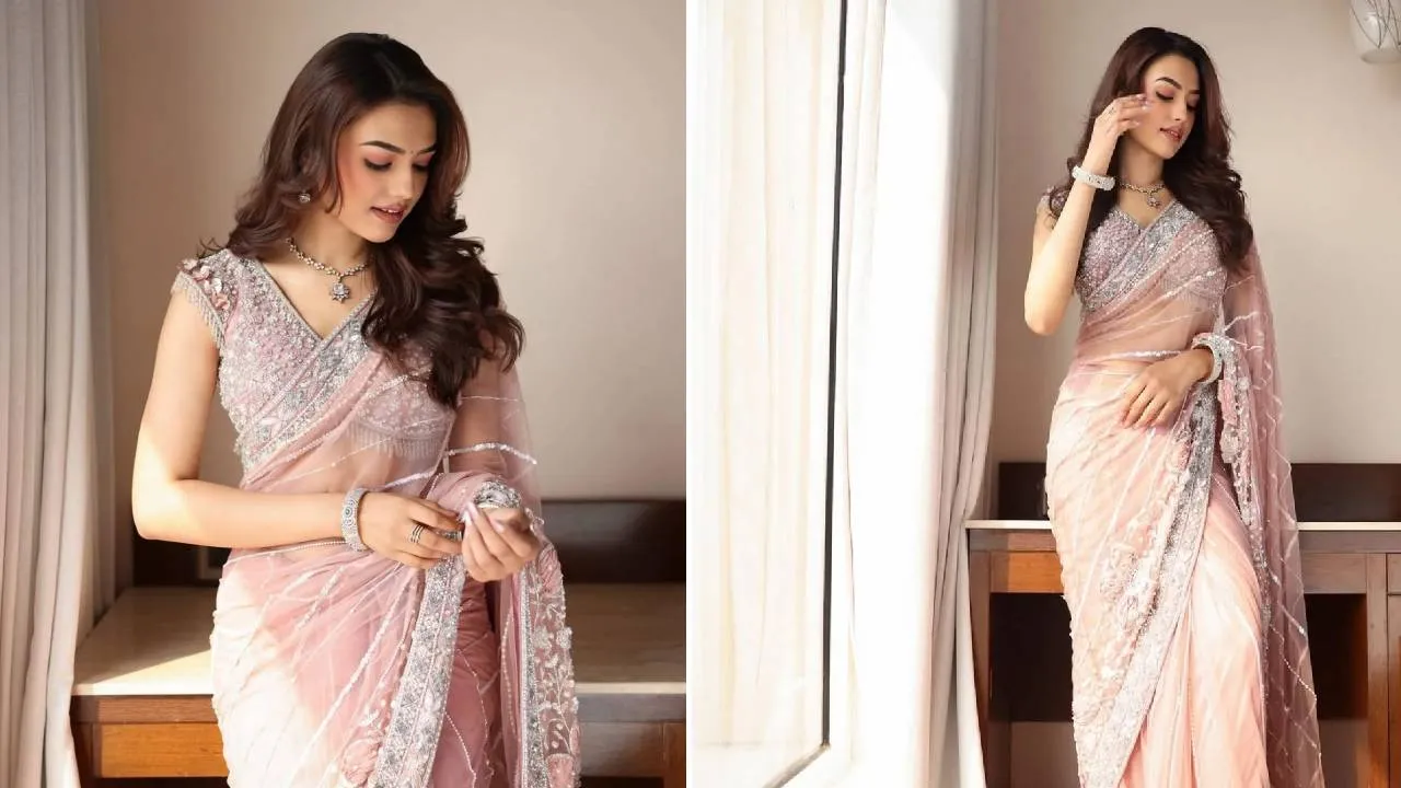 Summer Saree Fashion 2026: ಸಮ್ಮರ್‌ ಸೀಸನ್‌ನಲ್ಲಿ ಪಾರದರ್ಶಕ ಶೀರ್‌ ಸೀರೆ ಹಂಗಾಮ - Image 2