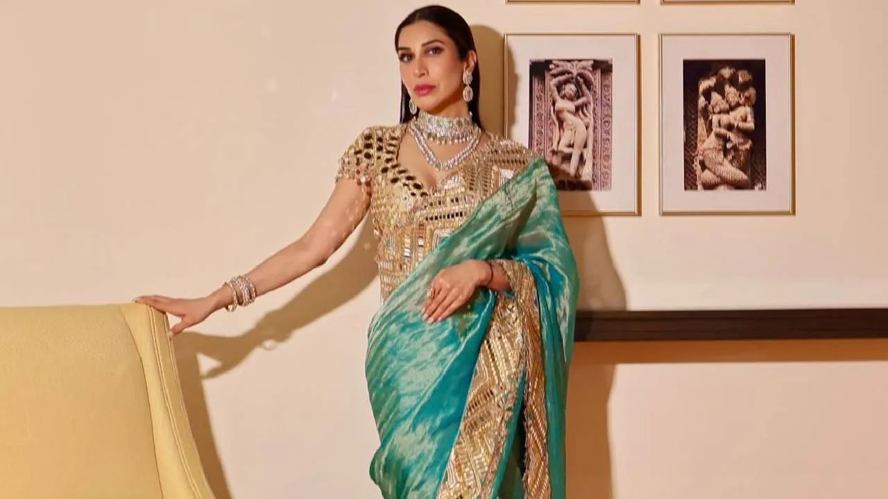 Saree Fashion 2026: ಟಿಶ್ಯೂ ಸಿಲ್ಕ್‌ ಸೀರೆಯಲ್ಲಿ ಸೆಲೆಬ್ರೆಟಿಯಂತೆ ಕಾಣಿಸಲು 5 ಐಡಿಯಾ - Image 2