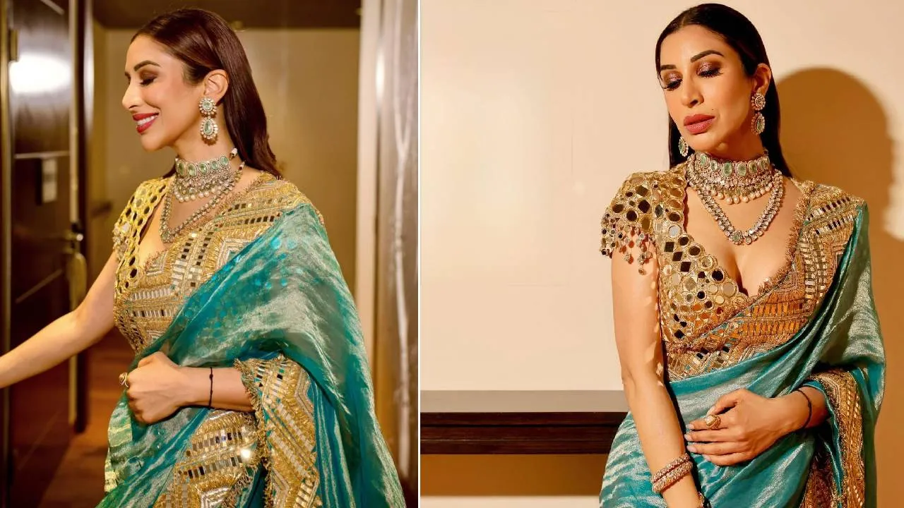 Saree Fashion 2026: ಟಿಶ್ಯೂ ಸಿಲ್ಕ್‌ ಸೀರೆಯಲ್ಲಿ ಸೆಲೆಬ್ರೆಟಿಯಂತೆ ಕಾಣಿಸಲು 5 ಐಡಿಯಾ - Image 4