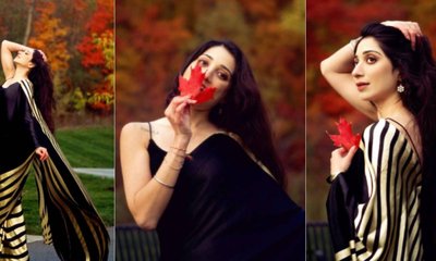 ಮರಳಿದ ರೆಟ್ರೊ ಲುಕ್ ನೀಡುವ ಸ್ಯಾಟಿನ್ ಸೀರೆ ಕ್ರೇಝ್!