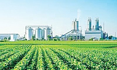 ಉದ್ದಿಮೆಯಾಗಿ ಬೆಳೆಯಲಿ ಕೃಷಿ