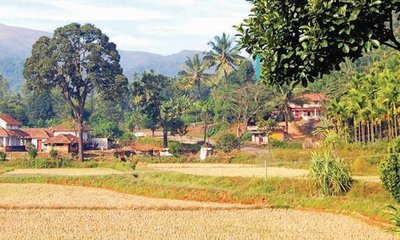 ಇವೆಲ್ಲಾ ಬೇಕಿಲ್ಲವೇ ನಮ್ಮ ಮುಂದಿನ ತಲೆಮಾರಿಗೆ !