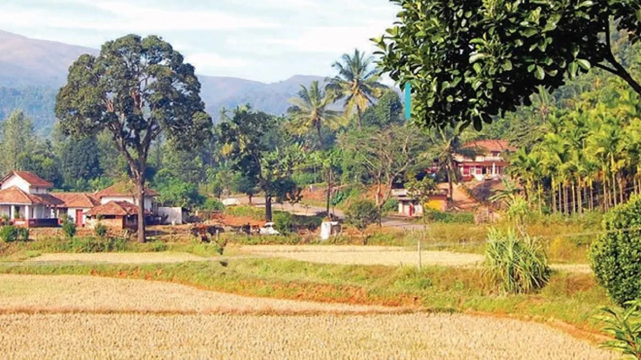 Shashidhara Halady Column: ಇವೆಲ್ಲಾ ಬೇಕಿಲ್ಲವೇ ನಮ್ಮ ಮುಂದಿನ ತಲೆಮಾರಿಗೆ !