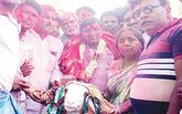 ಮೇಟಿ ಬಿಡದ ಮತದಾರ, ವೀರಣ್ಣ ಹರೋಹರ
