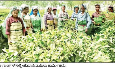 ಚಹಾ ತೋಟದ ಆದಿವಾಸಿಗಳ ಚಿತ್ತ ಕೇಸರಿಯತ್ತ ?