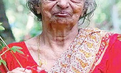 ದೇವಕಿ ಅಮ್ಮ: ಕೇರಳದ ವನಮಾತೆಯ ಸ್ಪೂರ್ತಿದಾಯಕ ಕಥೆ