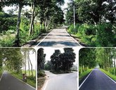 20 ವರ್ಷ ಕಳೆದರೂ ತಗ್ಗದ ನಿತೀಶ್ ಜನಪ್ರಿಯತೆ