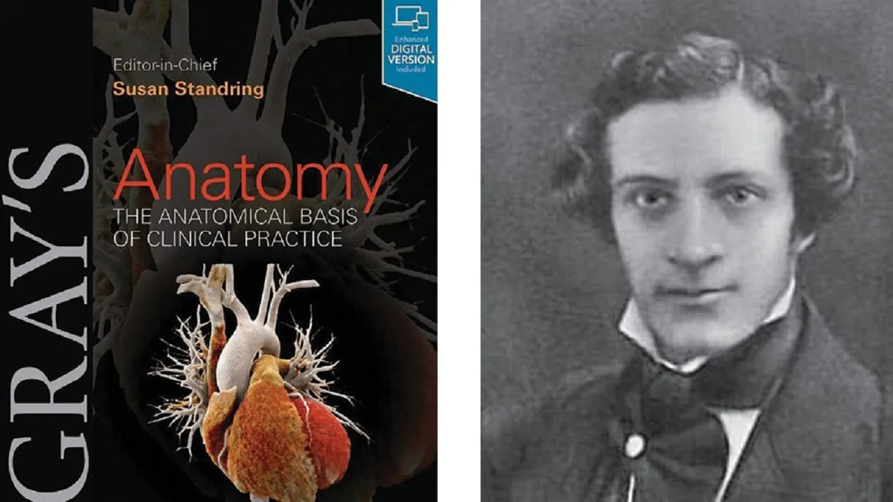 Dr N Someshwara Column: ಮನುಕುಲ ರಚಿಸಿದ ಸಾರ್ವಕಾಲಿಕ ಶ್ರೇಷ್ಠ ಗ್ರಂಥ: ಗ್ರೇಸ್‌ ಅನಾಟಮಿ