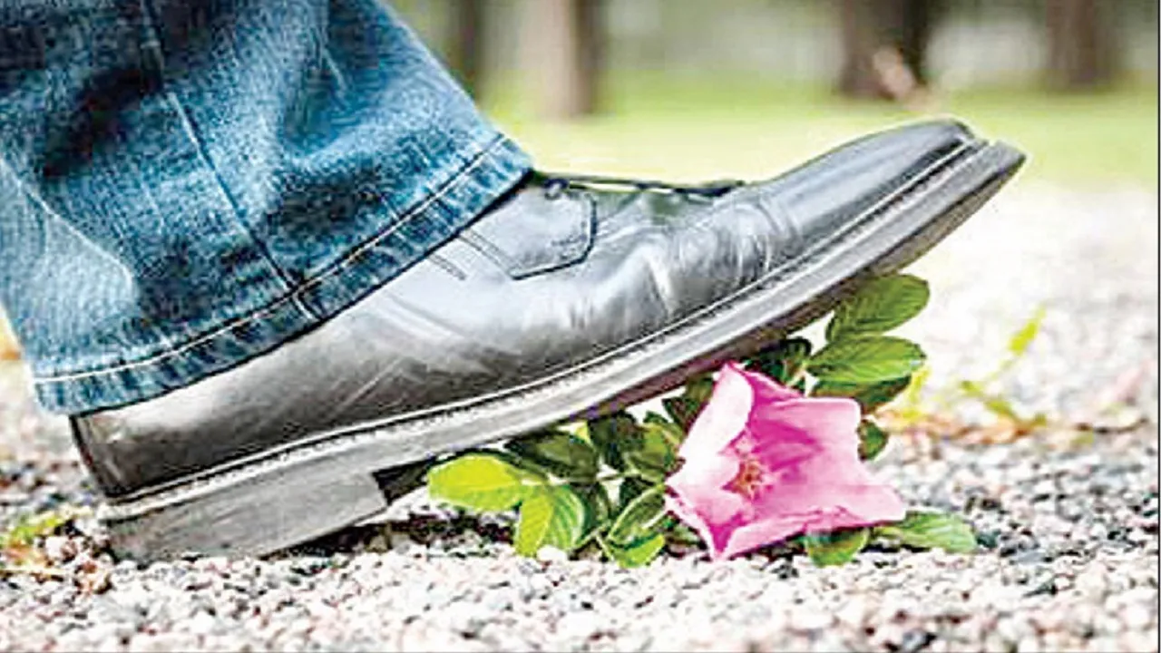 Yagati Raghu Naadig Column: ಕೀಚಕ ಕಳ್ಳಬೆಕ್ಕಿಗೆ ನಳಪಾಕನ ಶಕುನಿಬೋಧೆ