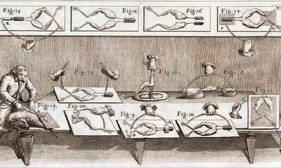 Dr N Someshwara Column: ಸತ್ತವನು ಎದ್ದು ಉಸಿರಾಡಿದಾಗ!...